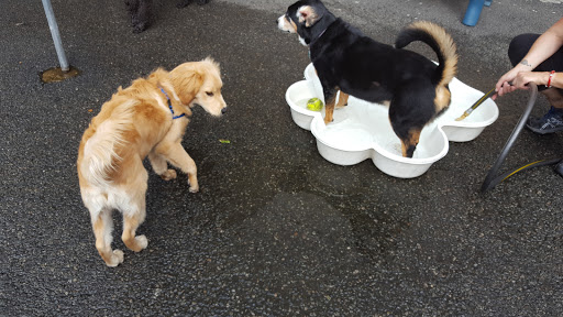 Photo of West Village D.O.G. Run