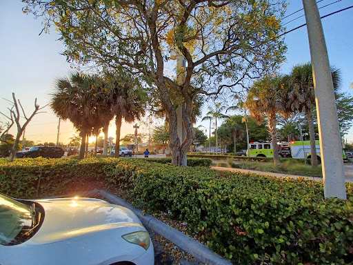 Bicycle Store «Andante Bicycle Shop», reviews and photos, 20277 Old Cutler Rd, Cutler Bay, FL 33189, USA