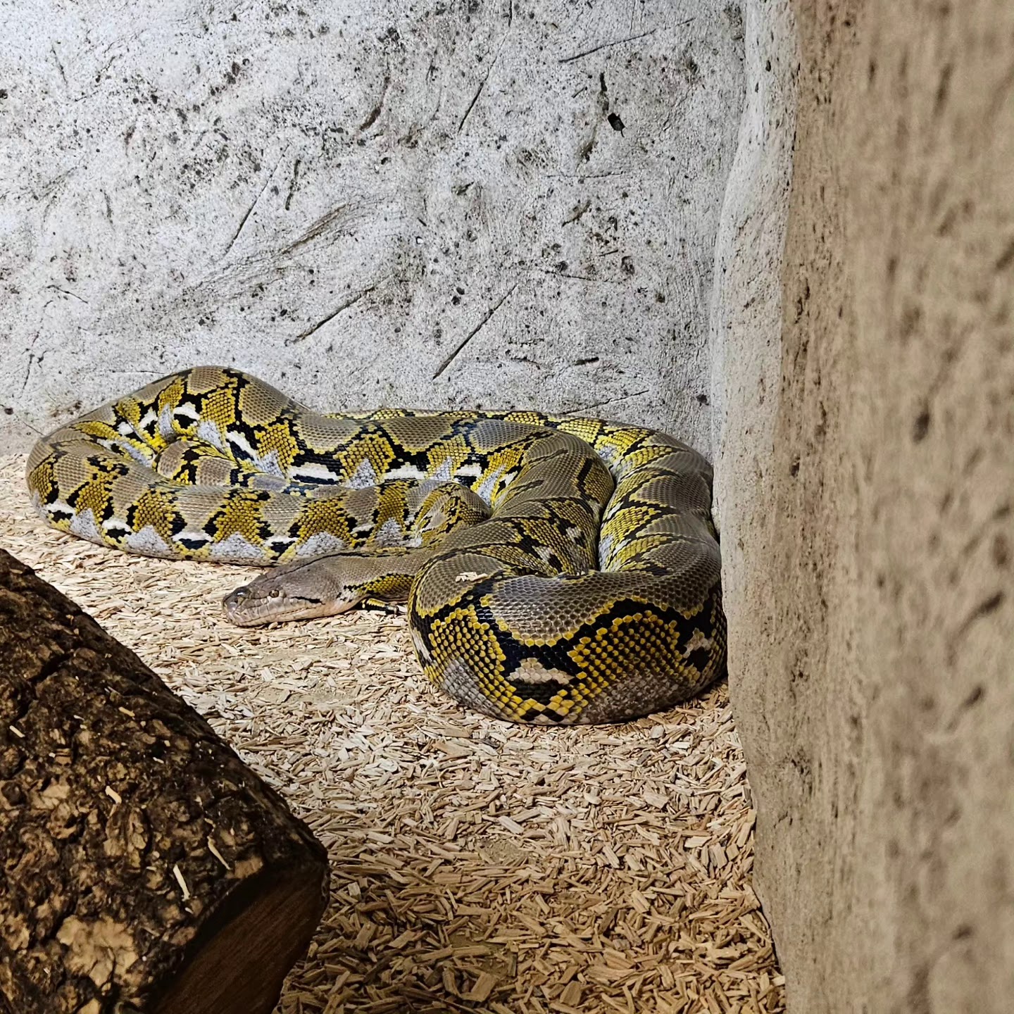 Photo n° 9 de l'avis de luderw. fait le 27/07/2023 à 15:56