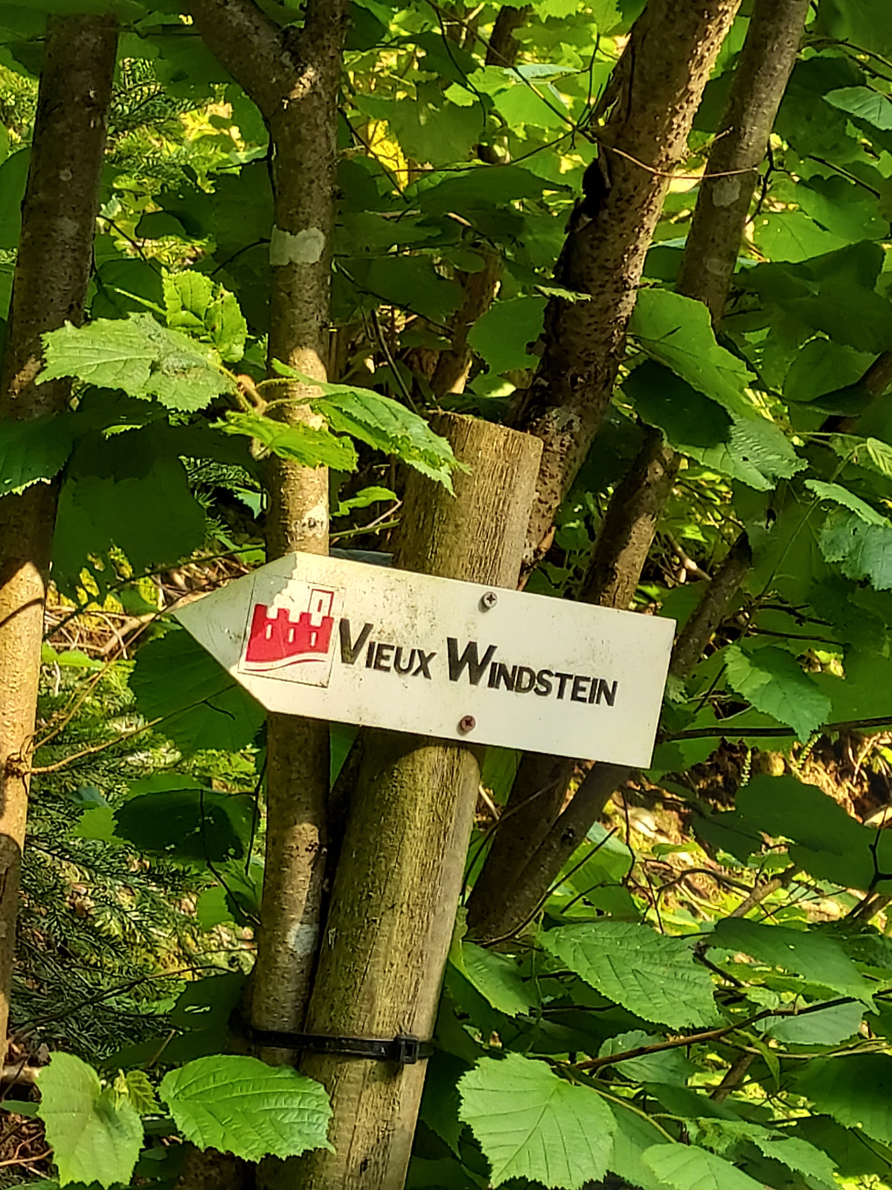 Photo n° 1 de l'avis de Nadine. fait le 03/07/2021 à 11:57