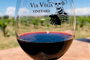Via Vega Vineyard & Winery image