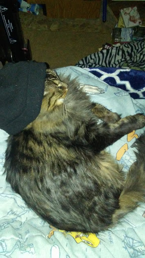 Department Store «Walmart Supercenter», reviews and photos, 415 Industrial Ave, Grinnell, IA 50112, USA