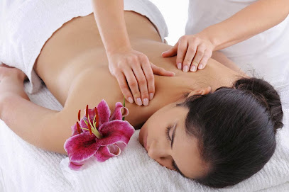 BMS Massage Therapy