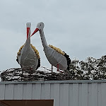 Photo n°12 de l'avis de Nadine.i fait le 03/10/2021 à 14:39 sur le  Bohrerhof Feldkirch à Hartheim am Rhein