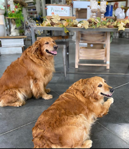 Northland Farm & Garden Center