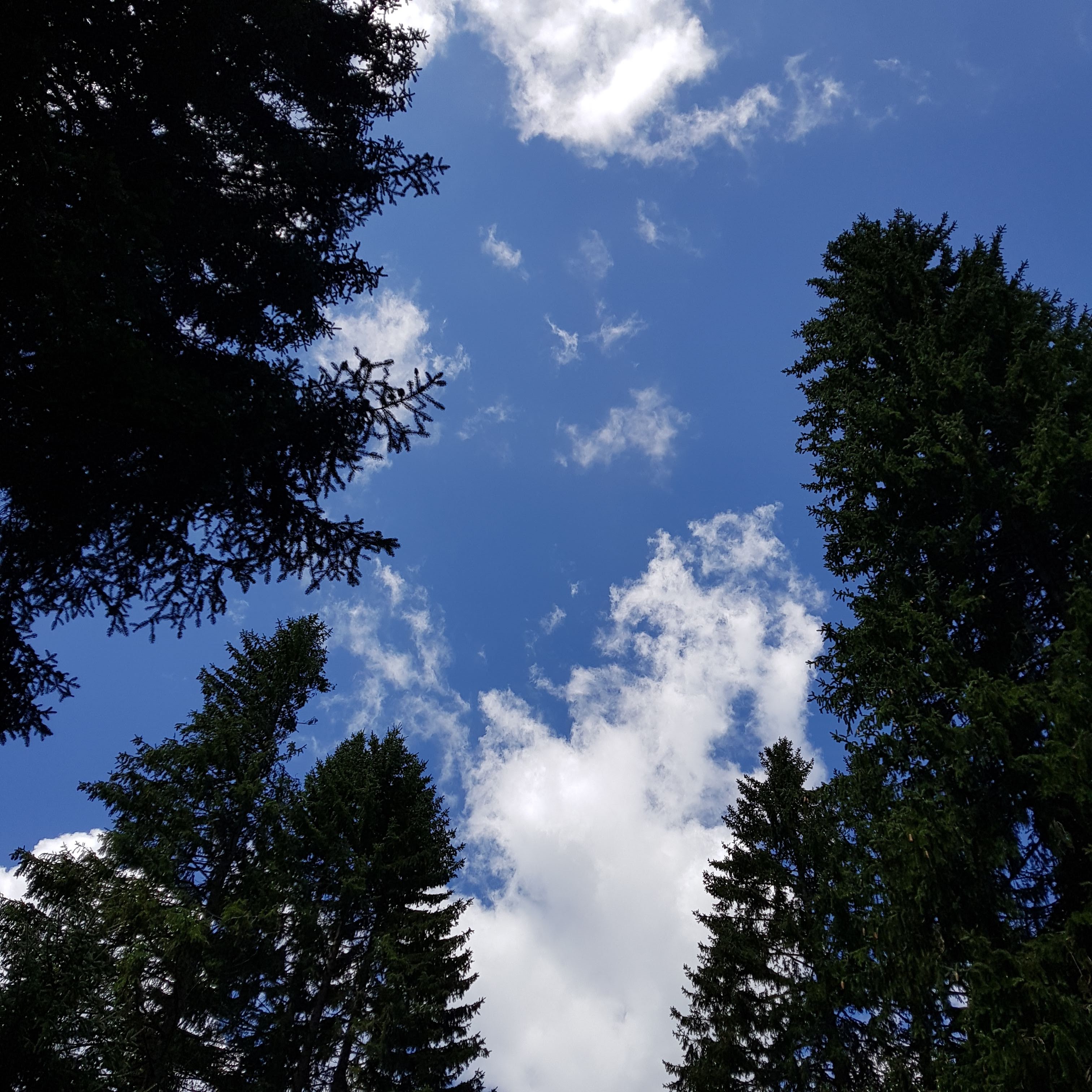 Photo n° 8 de l'avis de Denny.a fait le 23/08/2019 à 07:52