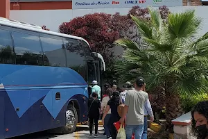 Servicios Administrativos Ómnibus de México image