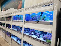 Petco - Photo 7 - Car repair in Coral Springs, FL, Coral Springs