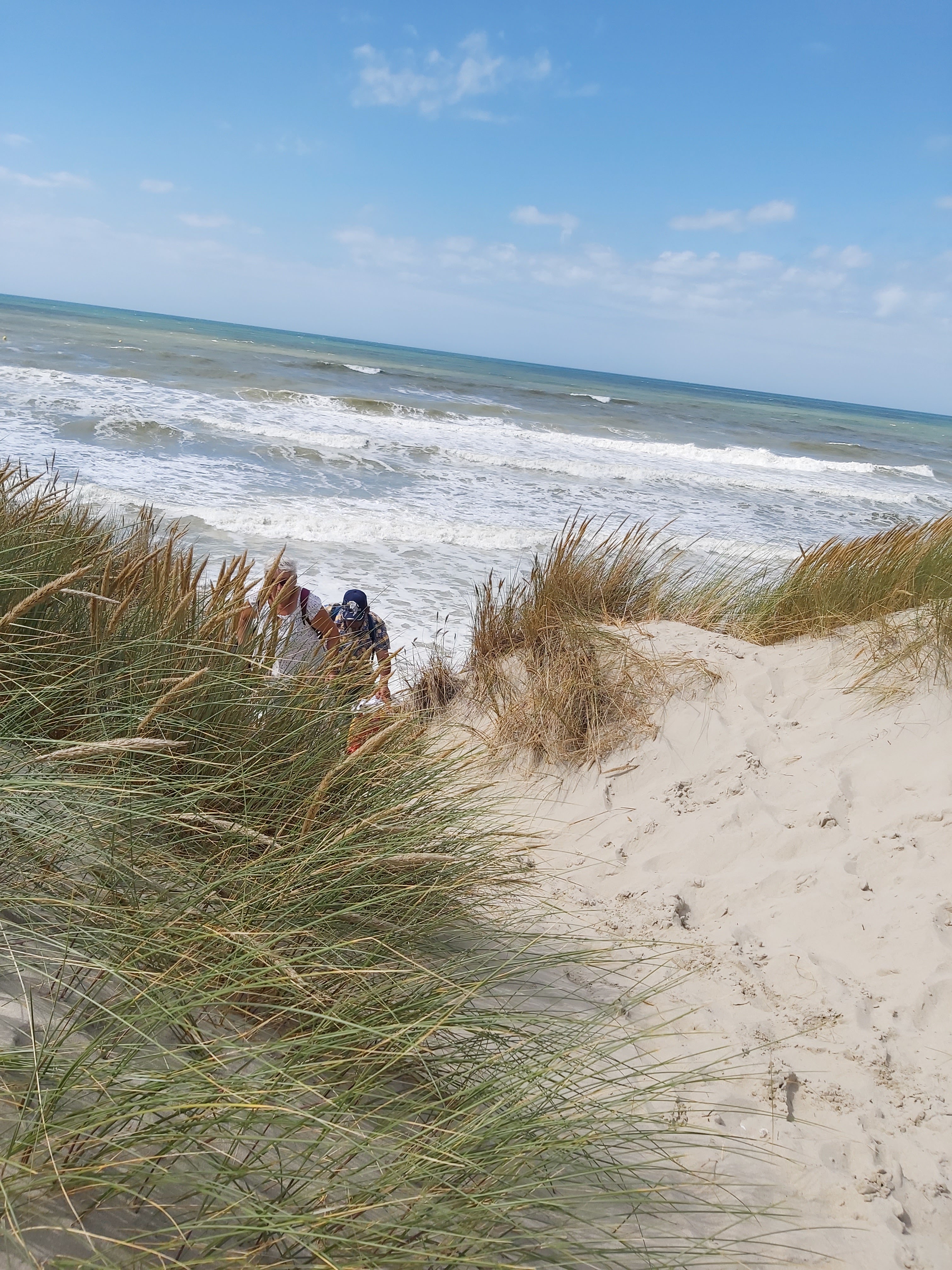 Photo n° 2 de l'avis de So.r fait le 22/08/2020 à 09:46