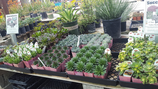 Gift Shop «Blue Hills Nursery & Gift Shop», reviews and photos, 16440 Whittier Blvd, Whittier, CA 90603, USA