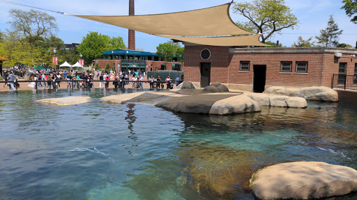 Zoo «Kovler Sea Lion Pool», reviews and photos, 2001 N Clark St, Chicago, IL 60614, USA