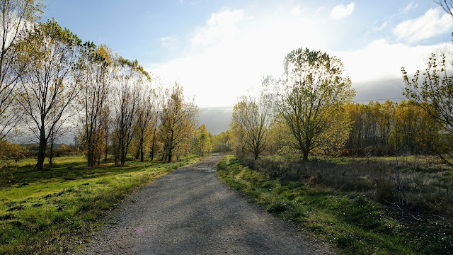 Espíritu Peregrino - Encuentros en el Camino de Santiago