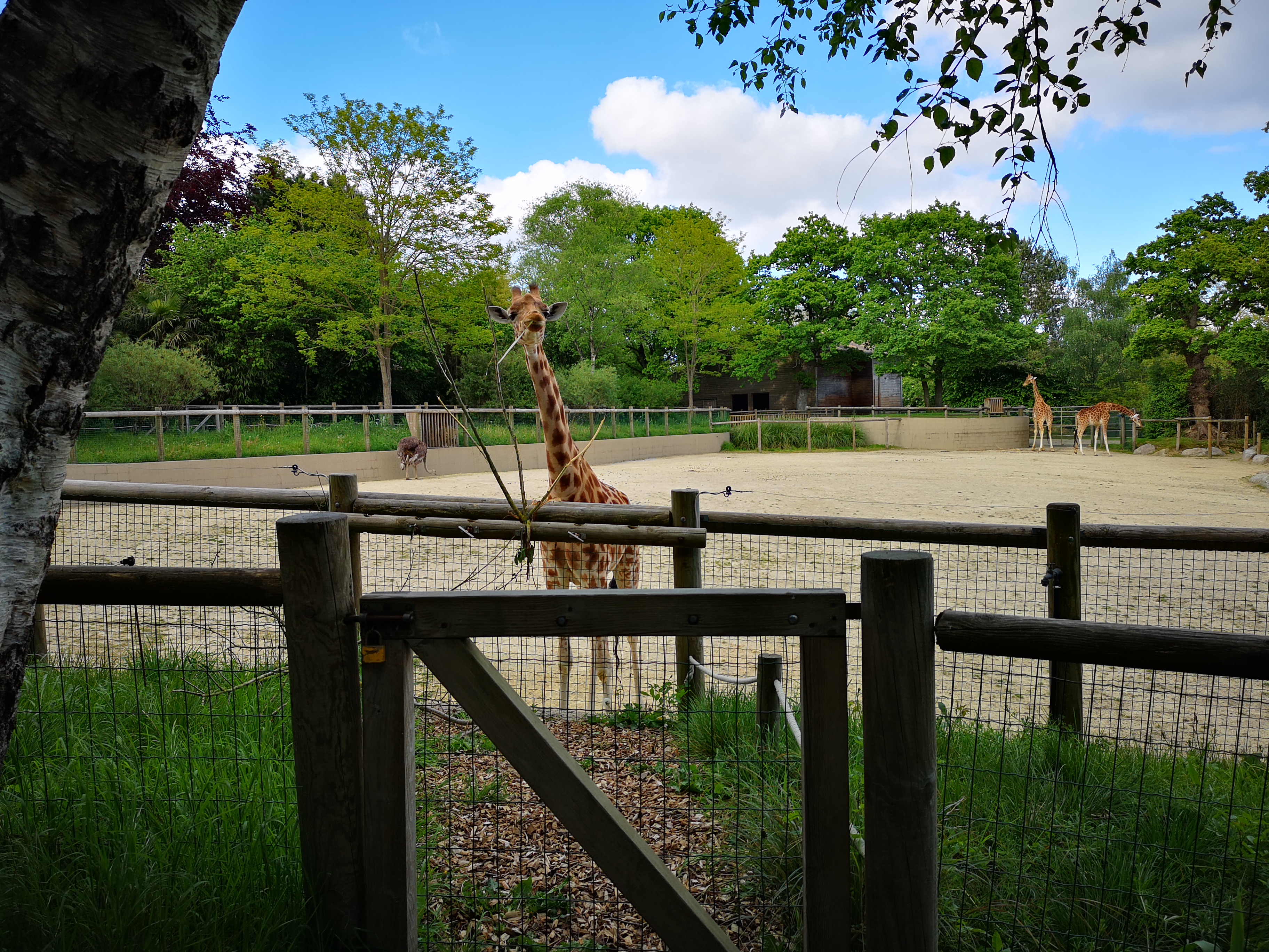 Photo n° 1 de l'avis de Benoit. fait le 15/05/2019 à 12:25