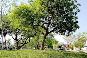 Parque Principal Santa Mónica image