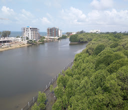 Sky View Tower and Mangrove Research Center photo