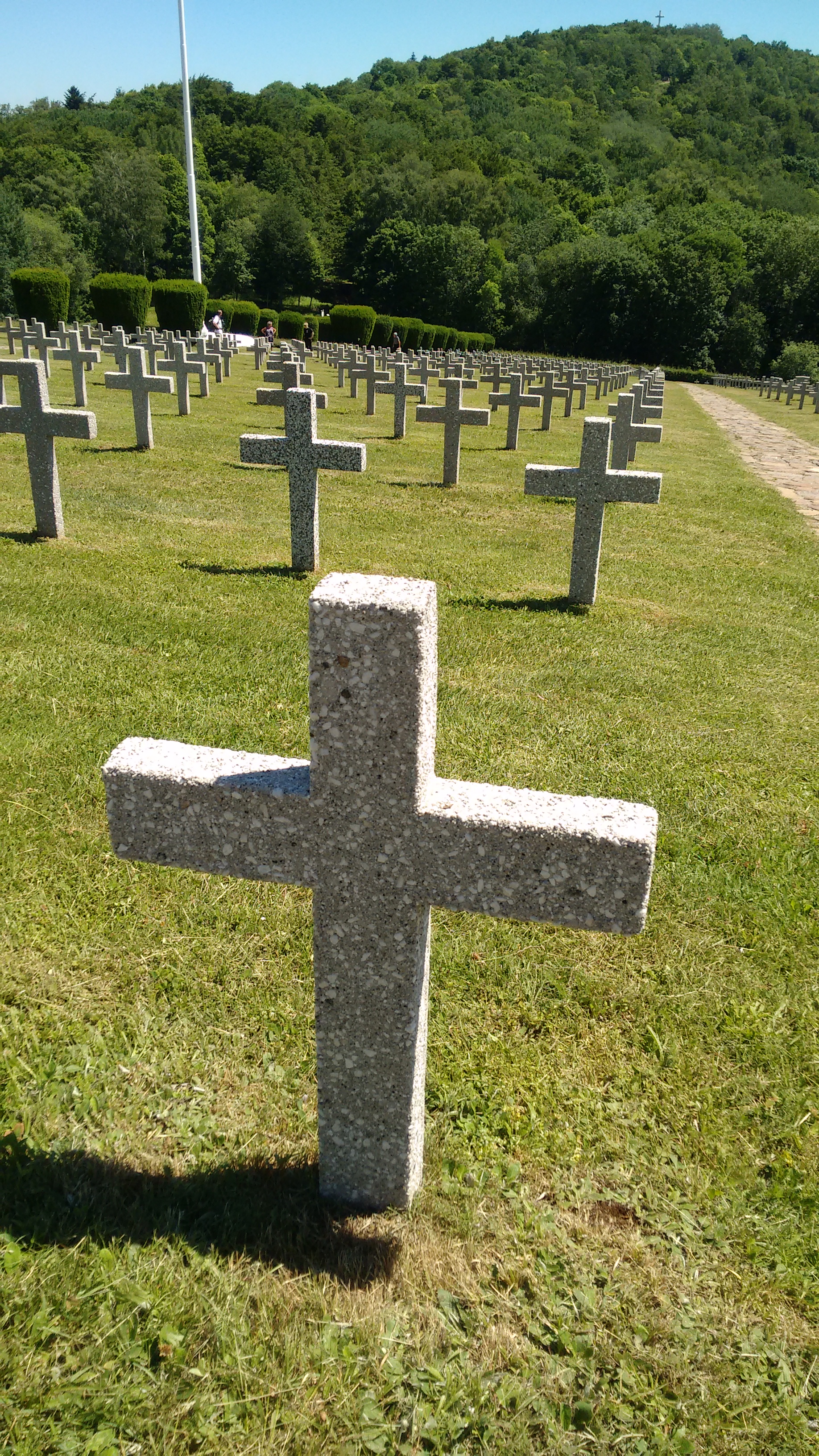 Photo n° 5 de l'avis de Rogério.o fait le 16/03/2019 à 10:13