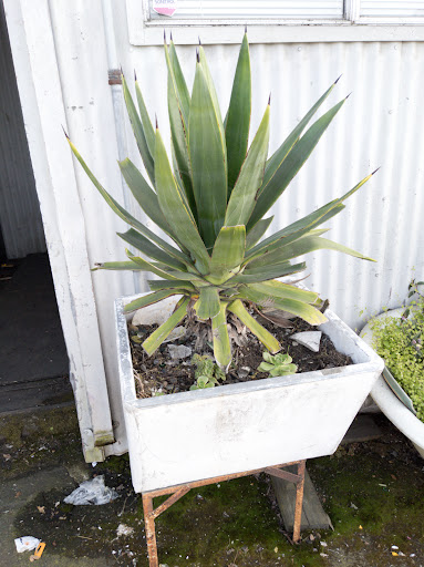 Salvage Yard «Urban Ore», reviews and photos, 900 Murray St, Berkeley, CA 94710, USA