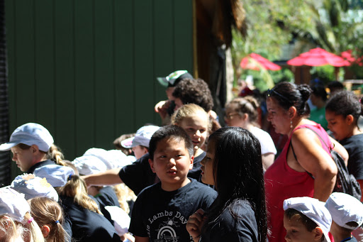 Day Care Center «Little Lambs Day Care, Inc.», reviews and photos, 837 Sumneytown Pike, Lansdale, PA 19446, USA