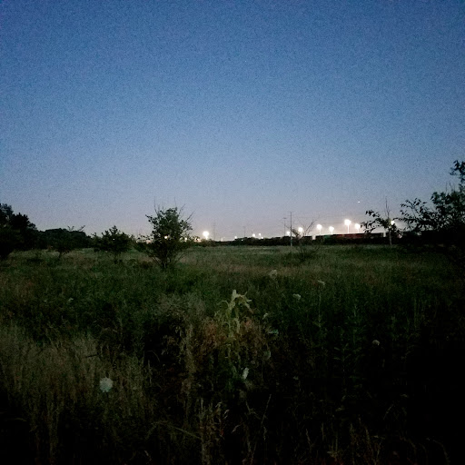 Nature Preserve «Van Vlissingen Prairie», reviews and photos, 1735 East 96th Street, Chicago, IL 60617, USA