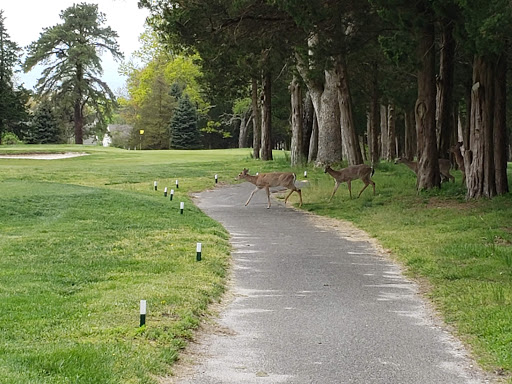 Golf Course «Ocean County Golf Course at Atlantis», reviews and photos, 261 Country Club Blvd, Tuckerton, NJ 08087, USA