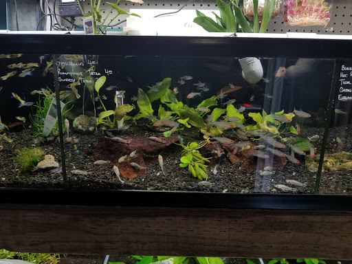Sand Bar Pet Shop image