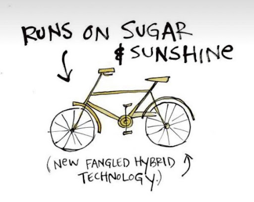 Bicycle Store «Cyclepath of San Mateo», reviews and photos, 1212 S El Camino Real, San Mateo, CA 94402, USA