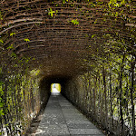 Photo n°1 de l'avis de Sylvia.. fait le 12/05/2024 à 07:42 sur le  Grand Hotel da Vinci à Cesenatico