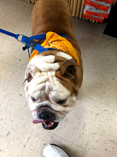 Pet Store «Everything Pet», reviews and photos, 3616 N Fry Rd, Katy, TX 77449, USA