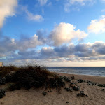 Photo n°9 de l'avis de Adefa.e fait le 10/07/2021 à 17:29 sur le  ESPLANADA DA AMA à Praia Pedrógão