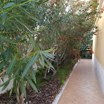 Photo n°28 de l'avis de Gala. fait le 23/01/2019 à 08:50 sur le  Villa dos Teixos à Cascais