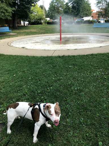 Park «Oriole Park», reviews and photos, 5430 N Olcott Ave, Chicago, IL 60656, USA