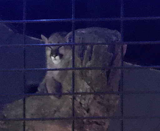 Park «Oxbow Park & Zollman Zoo», reviews and photos, 5731 County Rd 105 NW, Byron, MN 55920, USA