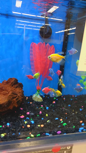 Pet Supply Store «Petco Animal Supplies», reviews and photos, 6020 Ball Rd, Buena Park, CA 90620, USA