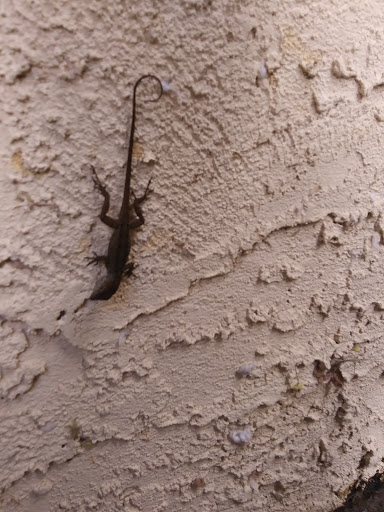 Golf Course «Panama Country Club», reviews and photos, 100 Country Club Dr, Lynn Haven, FL 32444, USA