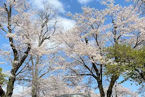 Mihara Park image