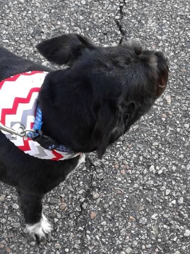 Pet Groomer «Petsense Conway», reviews and photos, 2803 Church St, Conway, SC 29526, USA