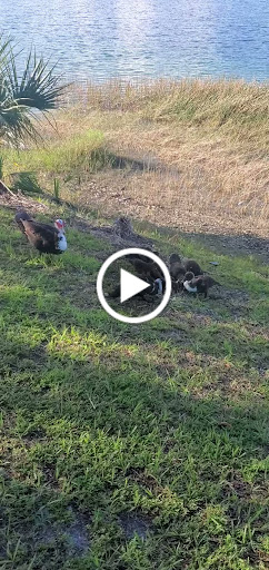 Park «Larry and Penny Thompson Park», reviews and photos, 12451 SW 184th St, Miami, FL 33177, USA