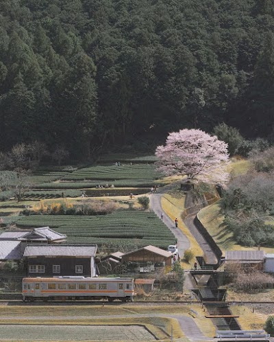 岩田池西公園