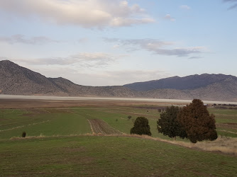 Bayındır Köyü Muhtarlığı