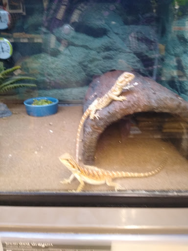 Pet Supply Store «Petco Animal Supplies», reviews and photos, 86 Storrs Rd, Mansfield Center, CT 06250, USA