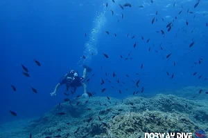 Norway Dive Mallorca - PADI 5 Star IDC Scuba Diving Center image