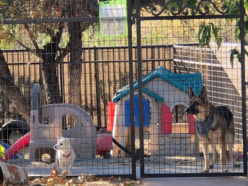 Aguanga Dog Boarding - Pawsnclaws, Inc.