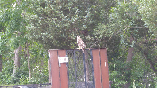 Golf Club «Lost Brook Golf Club», reviews and photos, 750 University Ave, Norwood, MA 02062, USA