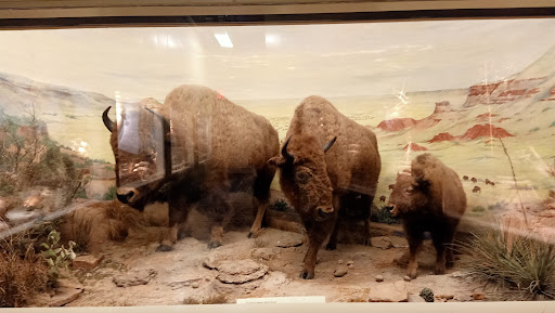 Museum «Texas Memorial Museum», reviews and photos, 2400 Trinity St, Austin, TX 78705, USA