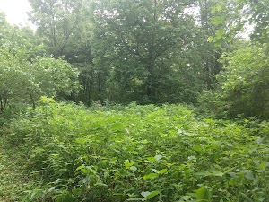 Kinsey Park - photo 9
