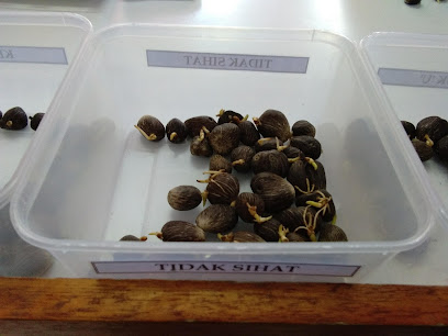 Sawit Kinabalu Seeds Sdn. Bhd.