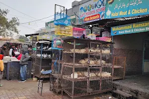 Ajit Pigeon Store image