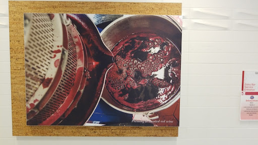 Ice Cream Shop «Cornell Dairy Bar», reviews and photos, 411 Tower Rd, Ithaca, NY 14853, USA