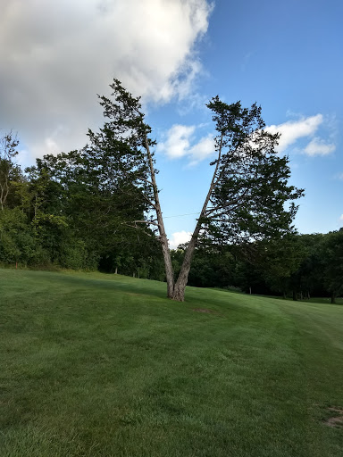 Golf Club «Valley High Golf Club», reviews and photos, 9203 T-243, Houston, MN 55943, USA