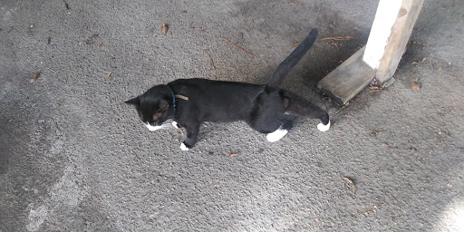 Pet Supply Store «Pet Supermarket», reviews and photos, 7805 Abercorn St, Savannah, GA 31406, USA